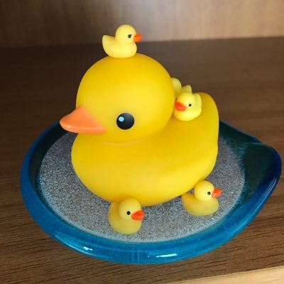 黄色い仔あひるを連れて旅の記録を投稿してます。時々馬ぬいがいます。初心者です。無礼があったらすみません。