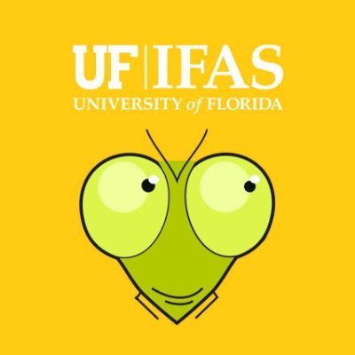 We are @UFEntNem Entomology & Nematology Department! RTs, links & follows don't = endorsements. #UFBugs