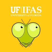 UF/IFAS Entomology & Nematology(@UFEntNem) 's Twitter Profile Photo