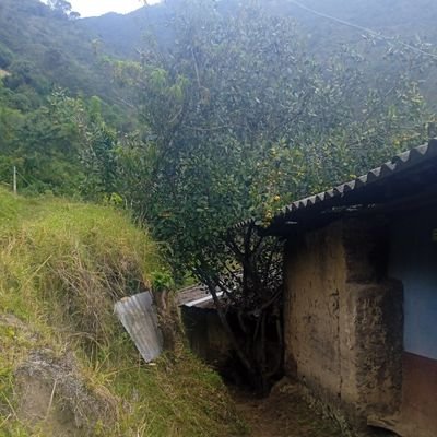 WalterJ36984848's profile picture. 