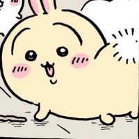 NaGiSa🌱 (@nagisa_shironek) 's Twitter Profile