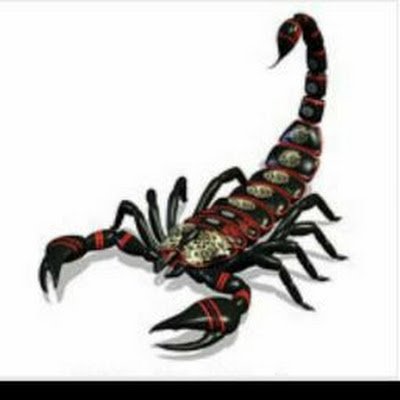 mywife494's profile picture. 