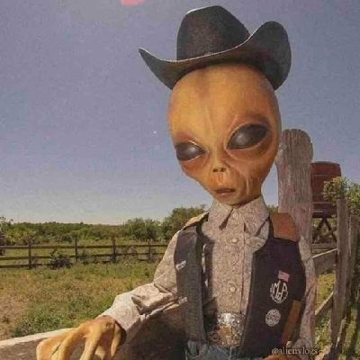 MCMLXXXJD's profile picture. 💀