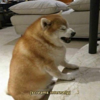 TanitoluwaO's profile picture. .