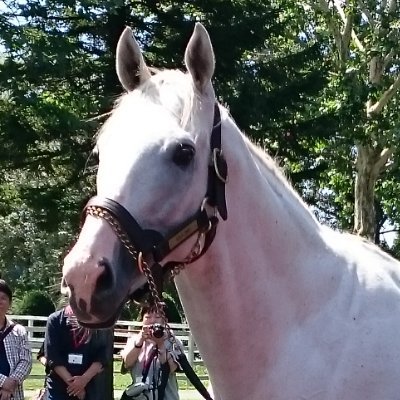 な。 (@na8344460035195) / X