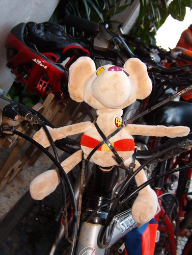 barryanns's profile picture. Interested in football, music and reading.