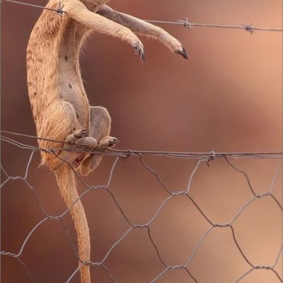 ShirimaGiron's profile picture. Live.. love ur life