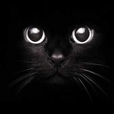 Mur_shad_hon's profile picture. من سب نبیا فاقتلوہ ۔
⚔️⚔️⚔️⚔️
🔥🔥🔥🔥