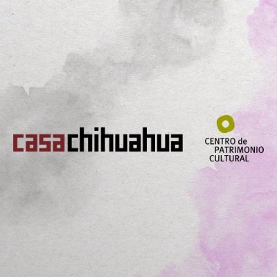 casachihuahua Profile Picture