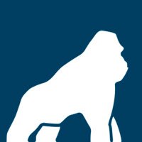 Health Gorilla has achieved designation as a Qualified Health Information Network.
Book a demo: https://t.co/nYKraqIm1u
View our API docs: https://t.co/IVJrKuVyj6