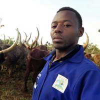 Brighton Eiraka ryentunguka (@sharifubrighto2) 's Twitter Profile