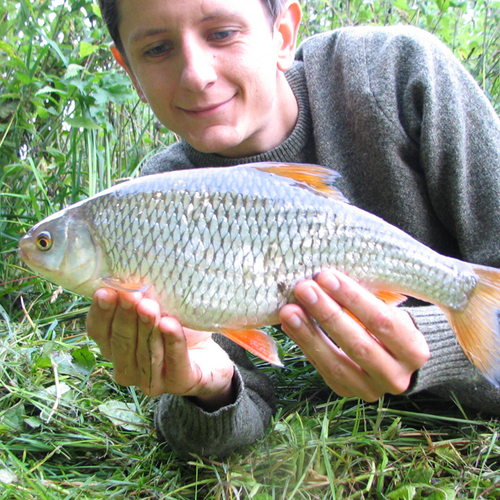 HookedClothing's profile picture. Owner, designer, blog writer, photographer and all-round angler at Hooked Clothing. I'm also studying for a Fishery Management degree at Sparsholt College.