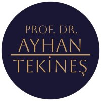 Ayhan Tekines(@AyhanTekines) 's Twitter Profile Photo