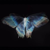 تهاني (@tahanialobaidd) 's Twitter Profile