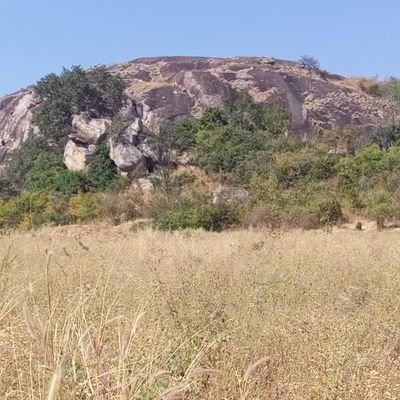 TinaMahmoud3's profile picture. 