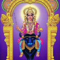 Velekkat Vishnumaya Temple(@VelekkatTemple) 's Twitter Profile Photo