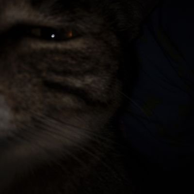 cecyzoll's profile picture. 💗💗