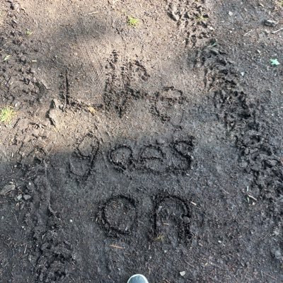 gabyluvzall's profile picture. 🇲🇽 nunca excluí a la gente, sola se fue la gente - milo j