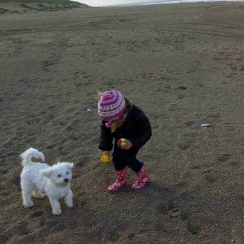 monique_postma's profile picture. 