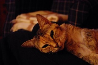 2010Kela1020's profile picture. Hoy es ayer y mañana no ha llegado