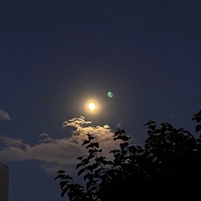 lightmaden's profile picture. Just me