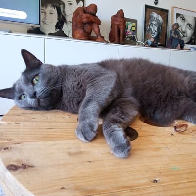 ghg1998MET's profile picture. 