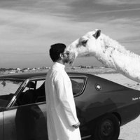 مشهور بن جريس (@palkookl) 's Twitter Profile