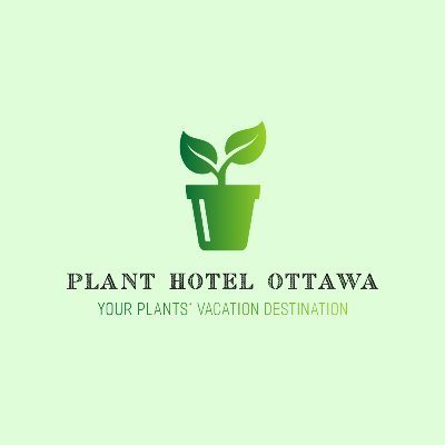 Welcome to the Plant Hotel Ottawa, your plants' ultimate vacation destination!