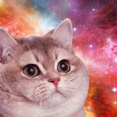 problemagic0's profile picture. Piano Amateur | Music Explainer | Nice Voice Haver | Not an AI in Disguise