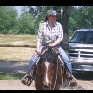 stregattamk's profile picture. 