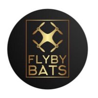 SB(@FlyByBats) 's Twitter Profileg