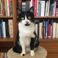 Mi pequeña biblioteca (@leerymas) 's Twitter Profile