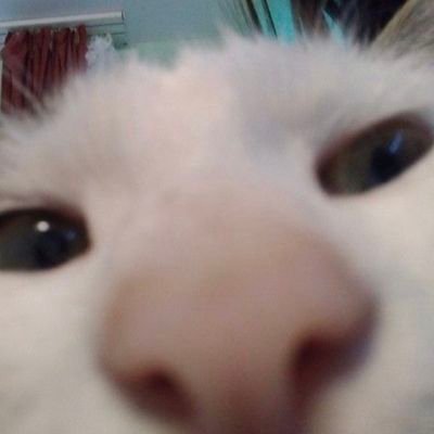 aa23957001's profile picture. nib