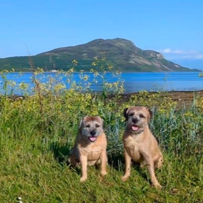 GMcB691's profile picture. 