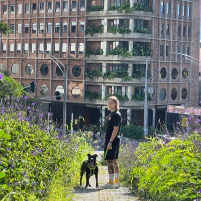 trazofresco's profile picture. 🍃