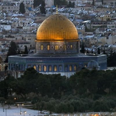 🇵🇸فِلَسْطين لحْن الصُّمود🇵🇸