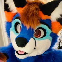 Firal Fox (@firalfox) 's Twitter Profile Photo Firal Fox (@firalfox) 's Twitter Profile Photo