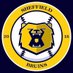 Sheffield Bruins Baseball Club (@SheffBruins) Twitter profile photo