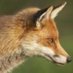 ๐ด๓ ง๓ ข๓ ณ๓ ฃ๓ ด๓ ฟ๐ด๓ ง๓ ข๓ ท๓ ฌ๓ ณ๓ ฟ๐ฎ๐ชsepratistfox (@neilfox923583) Twitter profile photo ๐ด๓ ง๓ ข๓ ณ๓ ฃ๓ ด๓ ฟ๐ด๓ ง๓ ข๓ ท๓ ฌ๓ ณ๓ ฟ๐ฎ๐ชsepratistfox (@neilfox923583) Twitter profile photo