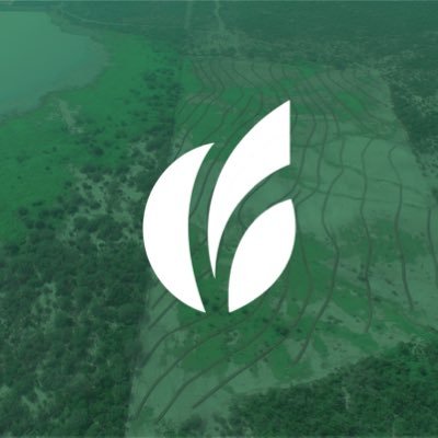 Consultoría Ambiental - Resultados de alto Impacto experiencia y conocimiento en el ámbito del Desarrollo Sustentable de los recursos naturales forestales