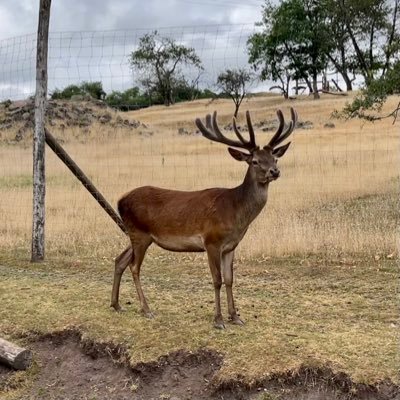 Chri5toph_S's profile picture. 