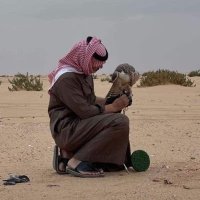 mohammed juhani (@hsjshshs662hjvv) Twitter profile photo