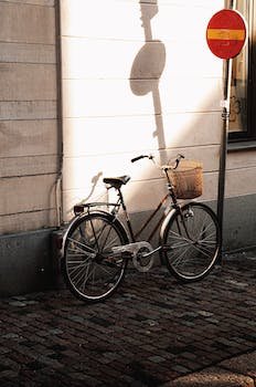 JoseVic27809868's profile picture. 