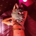 Professional Bull๐Blue Daddy Wolf #ArFF25 ๐ฆ๐ท (@bluedaddywolfad) Twitter profile photo Professional Bull๐Blue Daddy Wolf #ArFF25 ๐ฆ๐ท (@bluedaddywolfad) Twitter profile photo