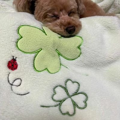 ttreasurmaker's profile picture. ꜰɪɴᴅ ʏᴏᴜʀ #ᴛʀᴇᴀꜱᴜʀᴇ

This is personal account but also hype treasure sometimes~°•◇☆