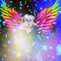 TheWolfAppears (@roguegovtpets) 's Twitter Profile
