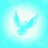 Inner Peace TV 🕊️(@innerpeacetv) 's Twitter Profile Photo