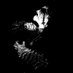 🤬 (@hellborn666) Twitter profile photo 🤬 (@hellborn666) Twitter profile photo
