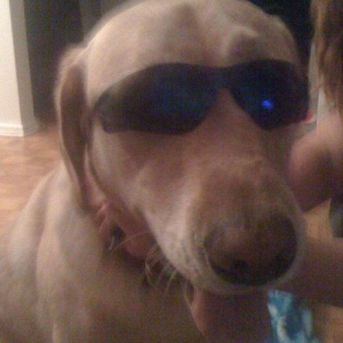 8manPaquin's profile picture. 