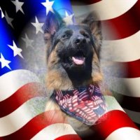 It's Only Words (@itsonlywords) 's Twitter Profile Photo It's Only Words (@itsonlywords) 's Twitter Profile Photo